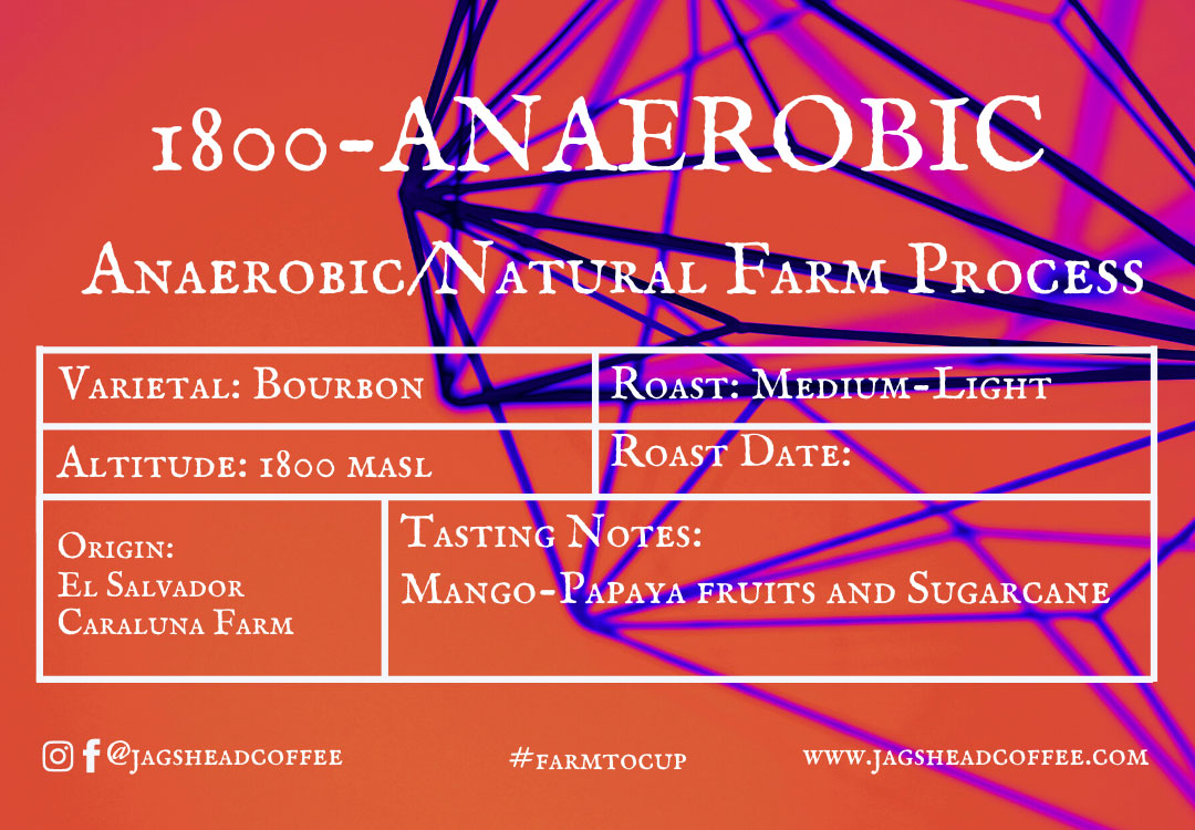 1800-Anaerobic Caraluna
