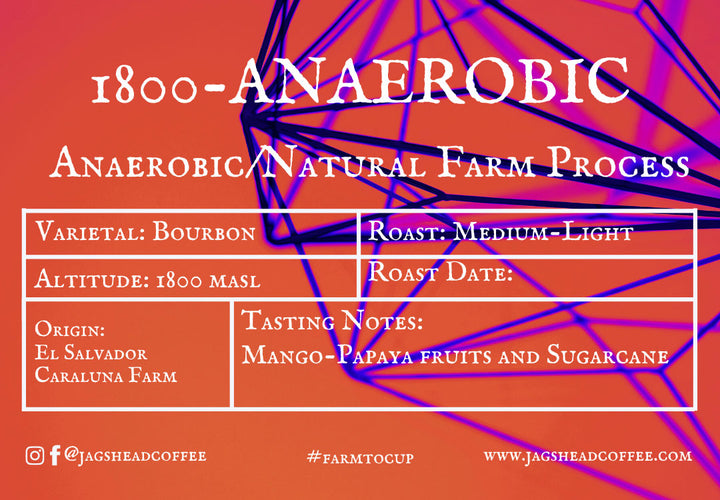 1800-Anaerobic Caraluna