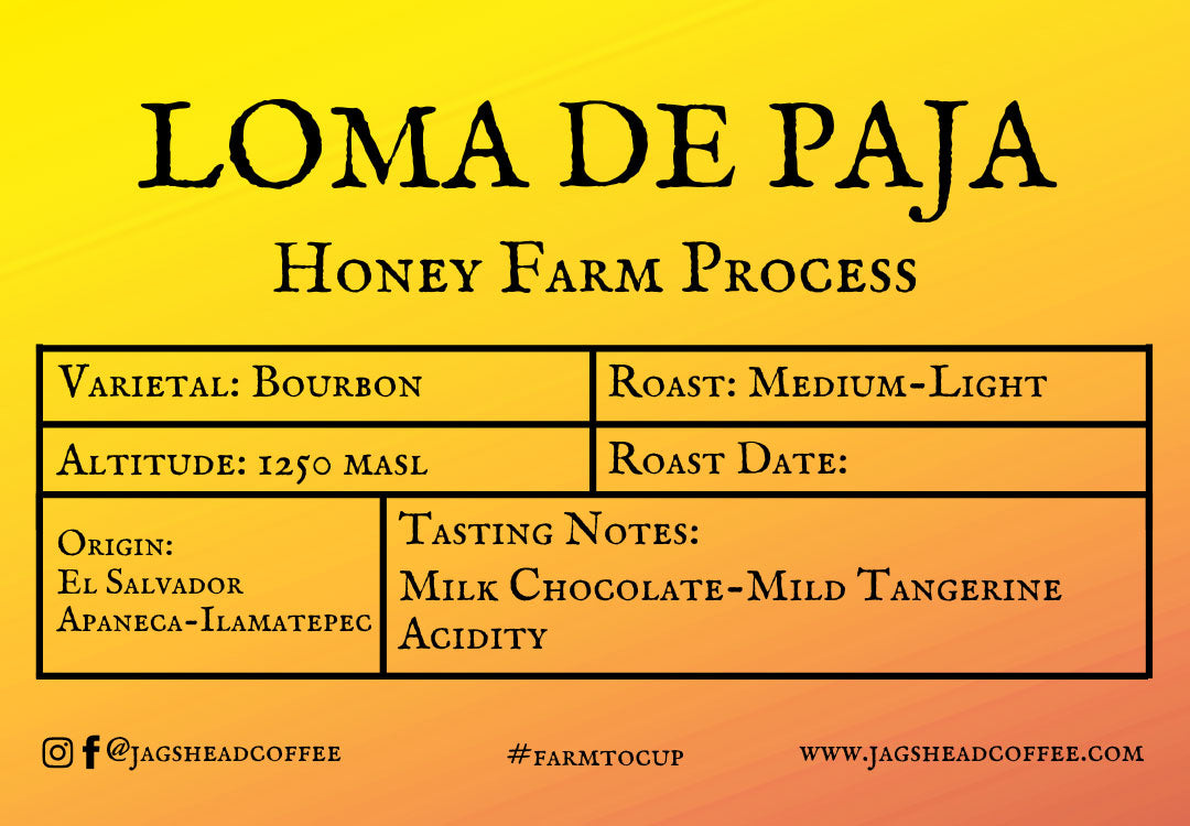 Loma de Paja Honey