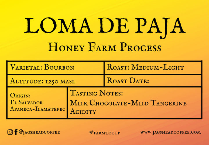 Loma de Paja Honey