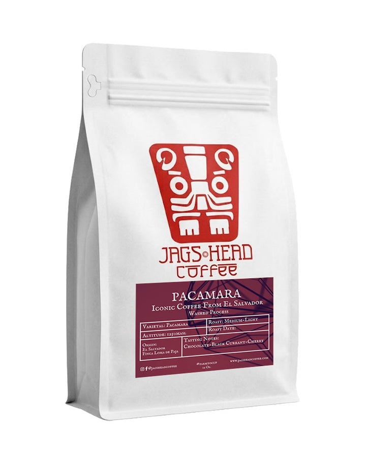 Pacamara Washed