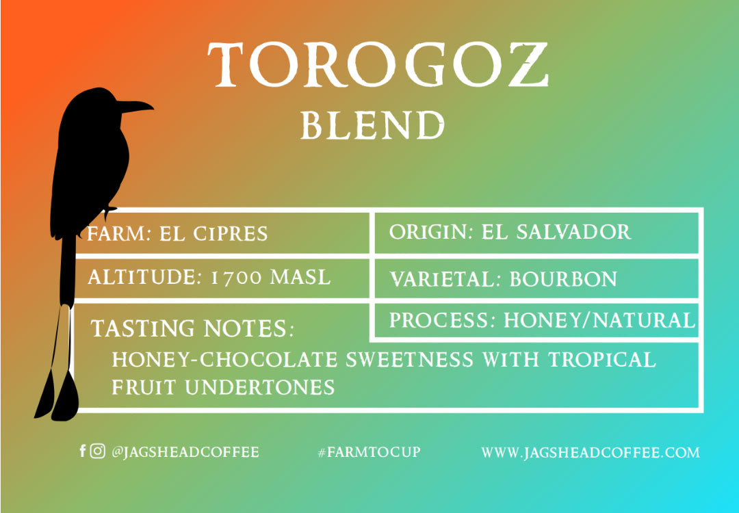 El Ciprés Torogoz